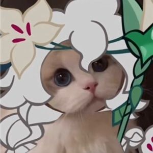 Meet your Posher, Rin